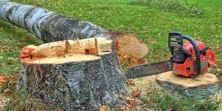 Best Hazardous Tree Removal  in Riverton, IL